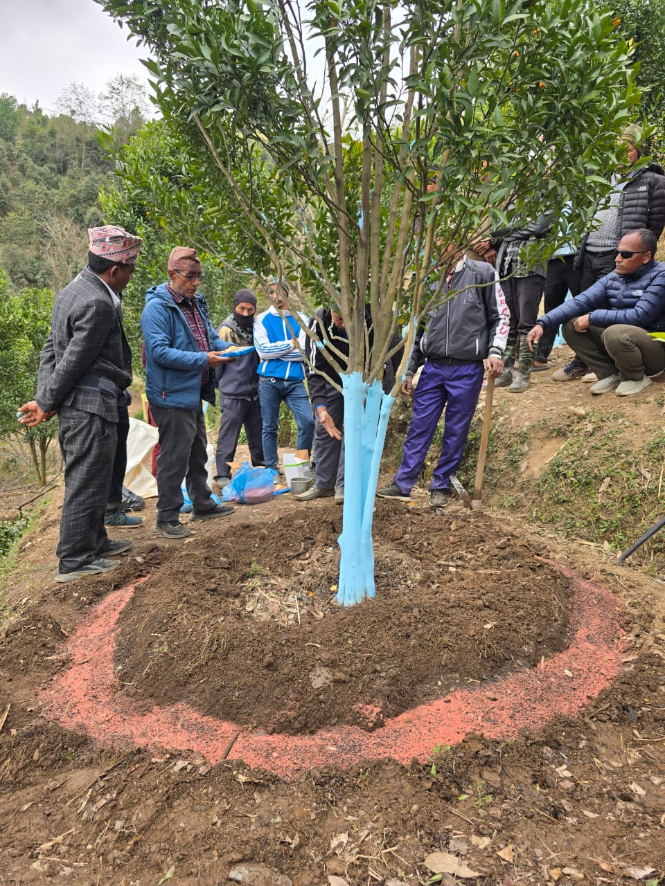 सुन्तला नर्सरी तालिम सल्यान