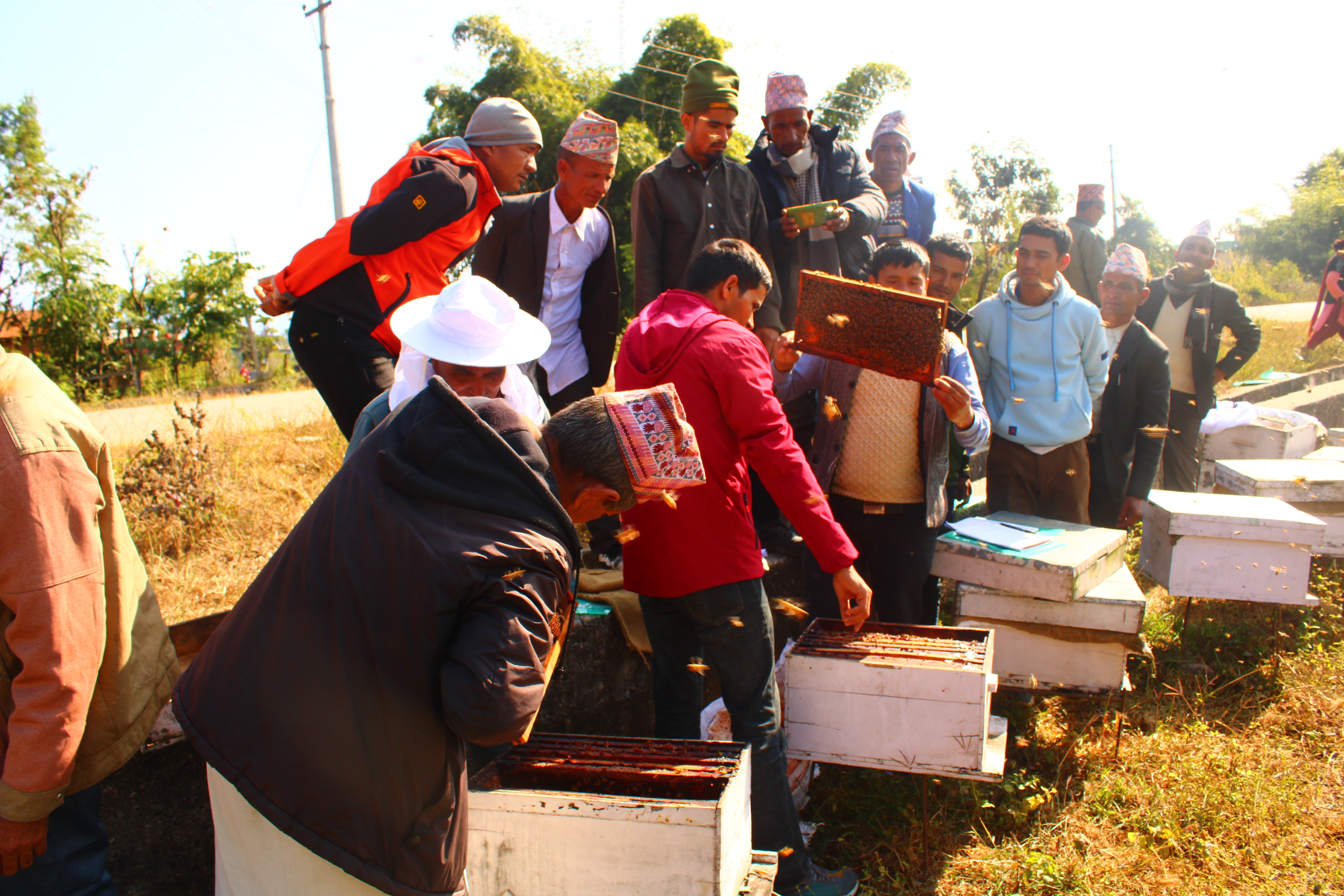 मौरीपालन तालिमका सहभागीहरू मौरीपालन निरीक्षण गर्दै