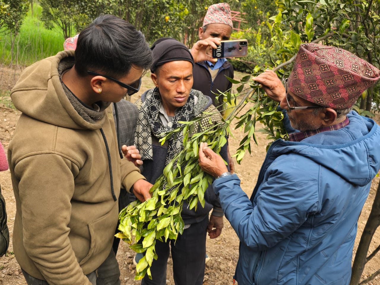सुन्तलाजात नर्सरी तालिम सल्यान
